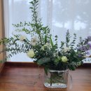 바즈플라워 이미지