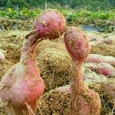 괴정2동-18 이미지