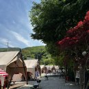 리즈밸리 이미지