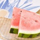 빛고을카 네이버블로그