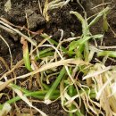 옥종농장 이미지