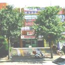 사파동279 이미지