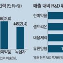 선 인력 이미지
