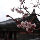 (주)봄디자인 이미지