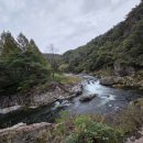 탁사정 | 제천 탁사정 | 제천 9경 주차 산책로 정자 후기