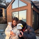 슈슈의숲카페&식당 | 서울근교 당일치기 글램핑 바베큐, 강화도 슈슈의숲 4인 방문후기(103호)