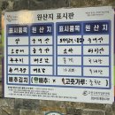 무전성 이미지