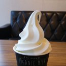 쏠레민박 | 제주도여행 1일차-늘봄흑돼지/까사델소니도/쏠레민박