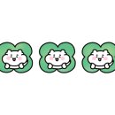 한림속 하루 이미지