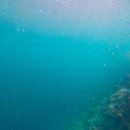 명소탐방 임실 시티투어 | 세부 여행 가성비 단독 가이드투어 후기