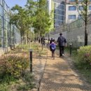 호수초등학교 이미지