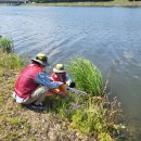 동촌유원지 녹수대 이미지