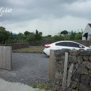 벵디1967 | 8월 제주여행 : 벵디1967 프라이빗 렌탈하우스 가족여행 후기 ♡