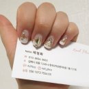 네일플리코