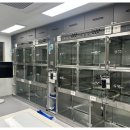 고려종합동물병원 이미지