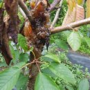 복성농장 이미지