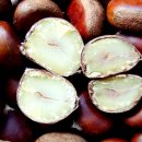 정안영농조합법인 이미지