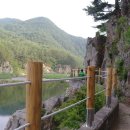 왕피천 은어길 이미지