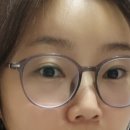 궉기정안경
