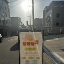 뚱땅뚱땅 | 대구 세천 애견카페 실내 야외 깔끔한 뚱땅뚱땅 내돈내산 후기!