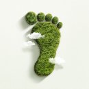 탄소발자국과 지구의 미래 이미지