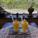 인월1길 | 제주 3박 여행 내돈내산 동쪽 월정리 게하 추천 "메이드인월정리"/ 월정리 카페 추천 북카페 힐링이...