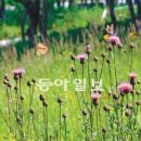 들꽃세상 - 남양주시 봉현로 20 | 들꽃세상