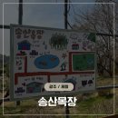 꿀꿀이목장 | 광주근교 아이랑 말타기 체험 가능하고 피크닉장소로 딱인 송산목장