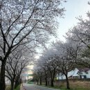 경북대학교 수의과대학 부속동물병원(분원) 이미지