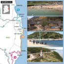 파도대게 이미지