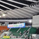 용인대 성민 태권도 이미지