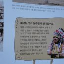 센프1호