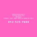 원스타공인중개사사무소 네이버블로그