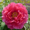 가람농원 이미지