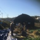 구억농장 이미지