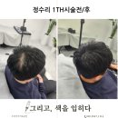 그리고색을입히다