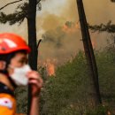 대구매천초등학교 이미지