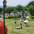 뚝섬한강공원-69 이미지