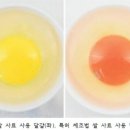 관동이용 이미지