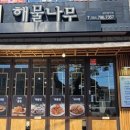 해물나무