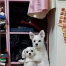 시간의 온기 이미지