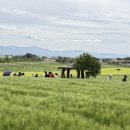농경사회 | 자연사가 사라진 시대 — 죽음의 사회화와 공유지의 회복