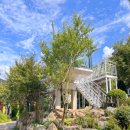 VIP 애견 이미지