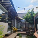 라소(laso) 이미지