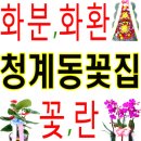 상원카센타 이미지