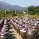 선재식품 이미지