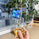 오리파티 이미지