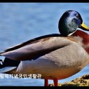 올림픽기념국민생활관 | [인천 수영장 추천] 올림픽기념국민생활관 합리적 가격과 넓은 공간