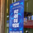 대한국제투어 | 부산에서 만난 로컬 주류 문화 2026 부산국제주류박람회(BILIE) 사전 투어 후기