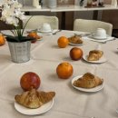 머구식당 | 2025년 요약 🐾 ❤